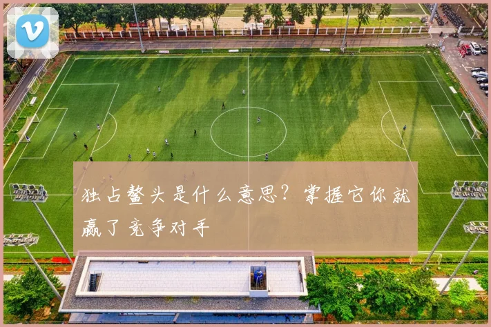 独占鳌头是什么意思?掌握它你就赢了竞争对手