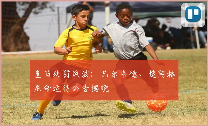 皇马处罚风波:巴尔韦德、楚阿梅尼命运待公告揭晓