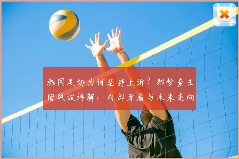 韩国足协为何坚持上诉?郑梦奎去留风波详解,内部矛盾与未来走向分析